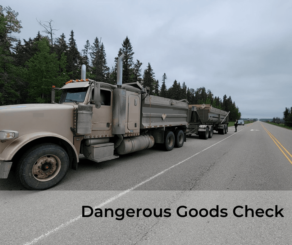 Dangerous Goods Check