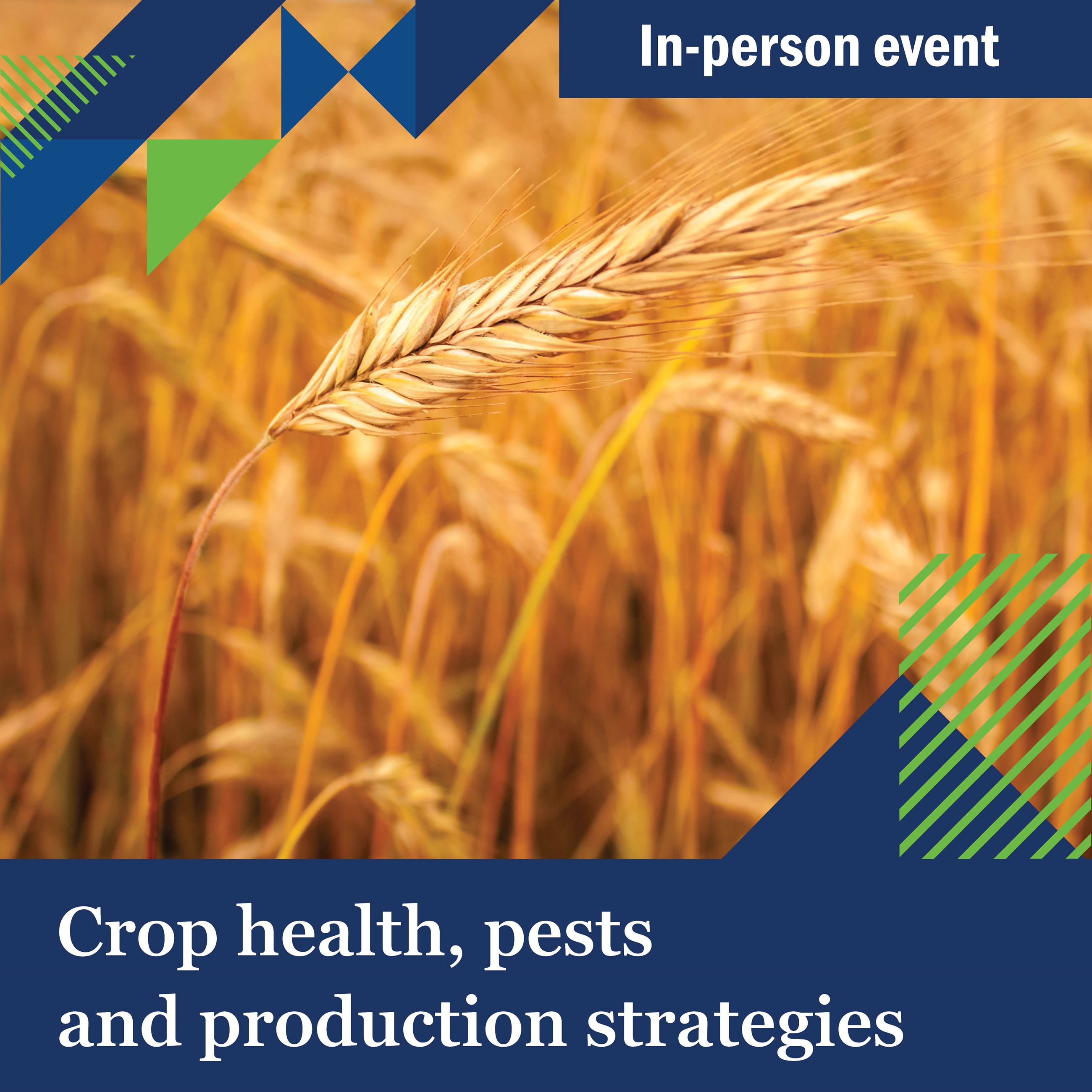 2026-Crop-health-pests production strat