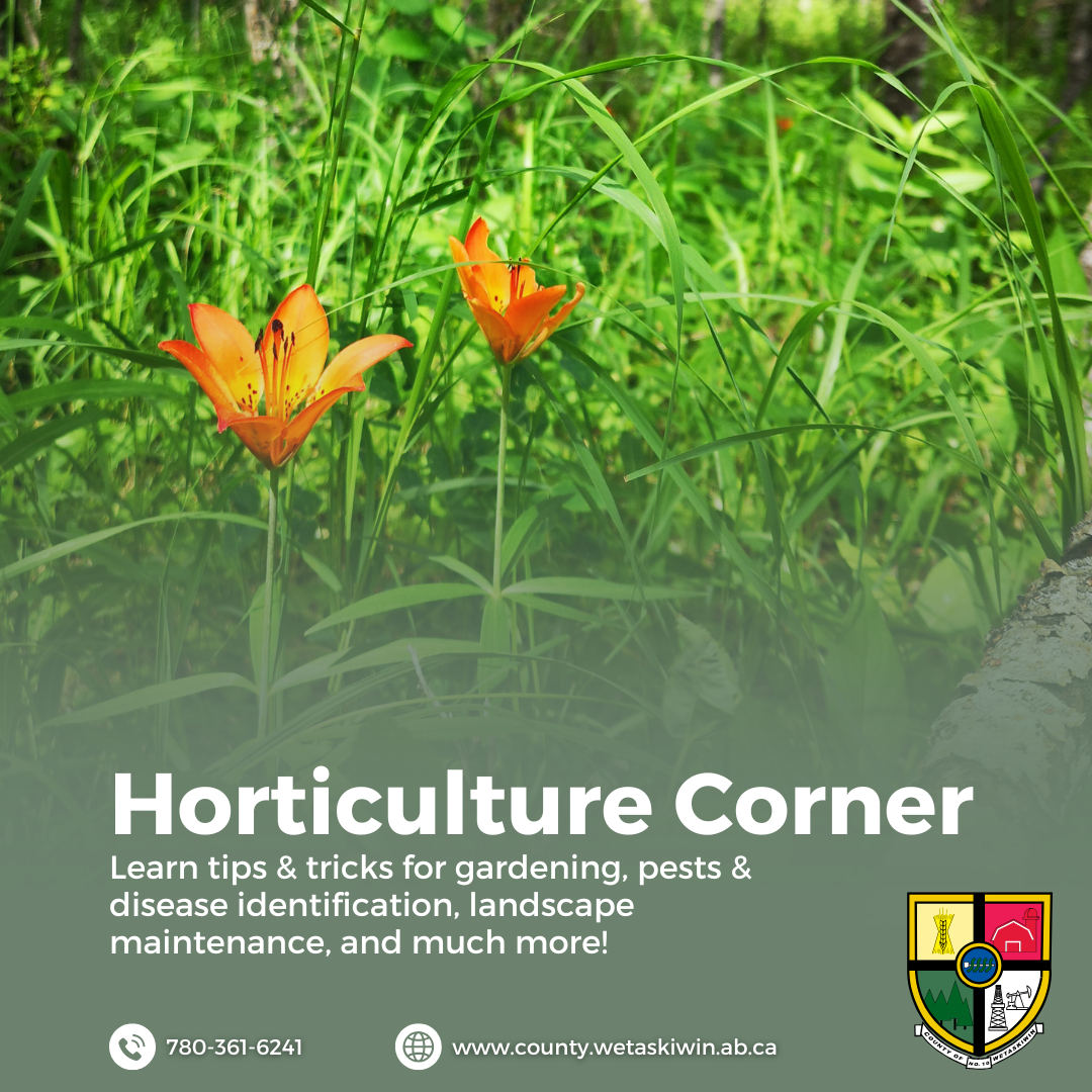 Horticulture Corner 2026