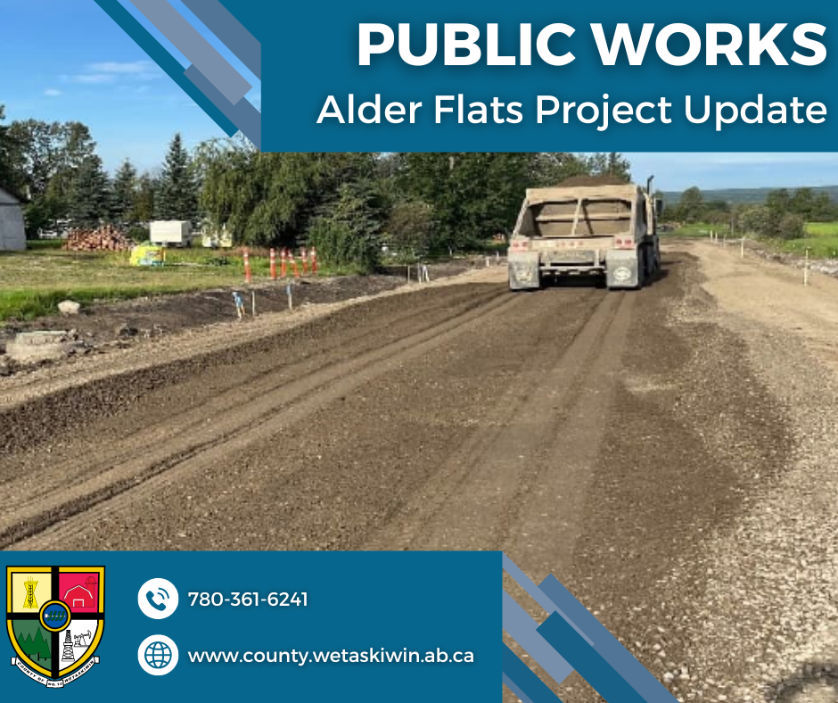 Project Progress Update (1)