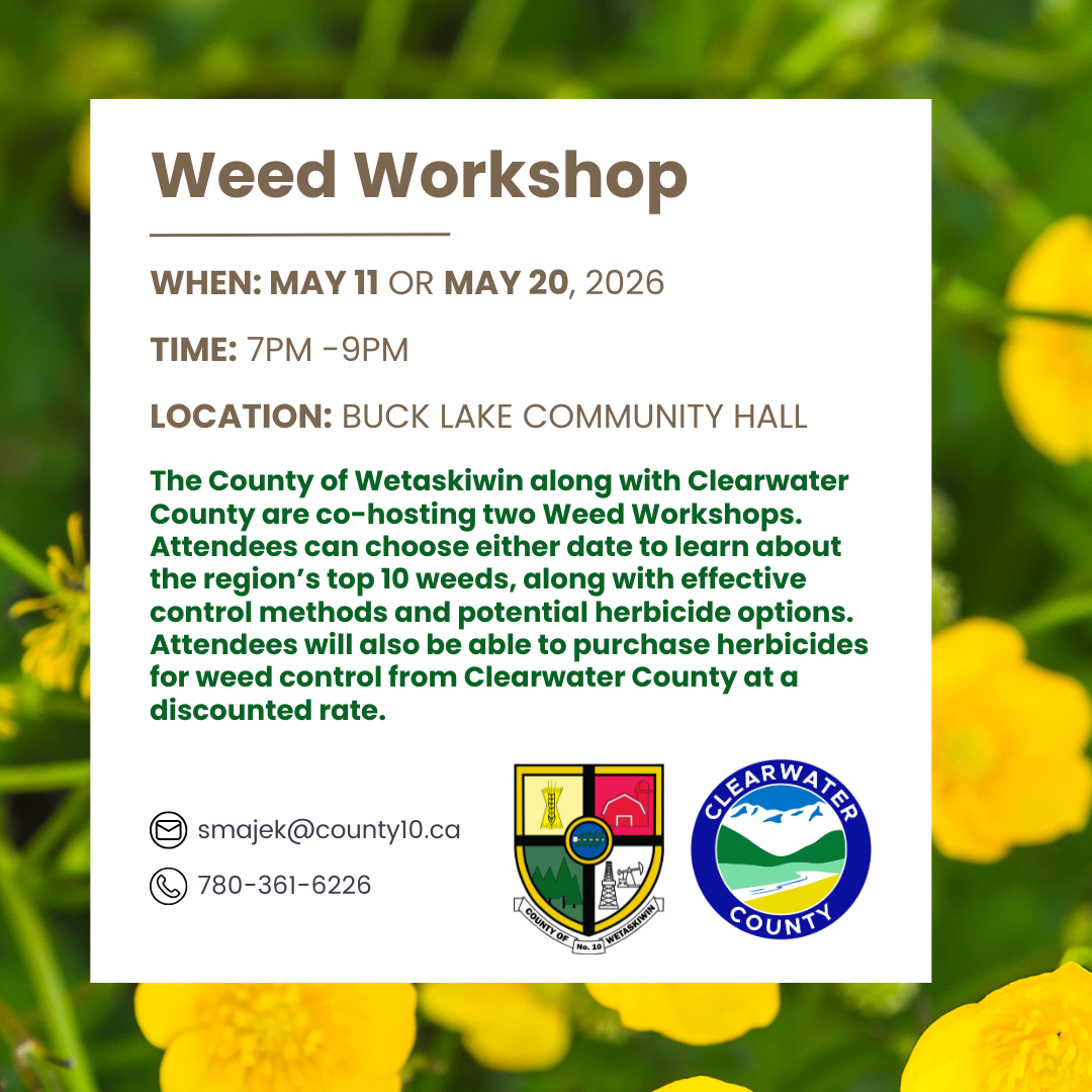 Weed Workshop 