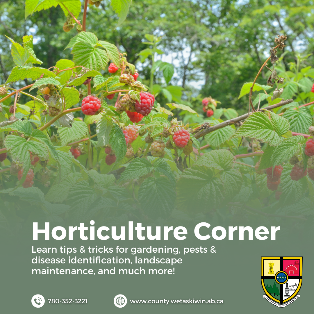 Hort Corner June 26 