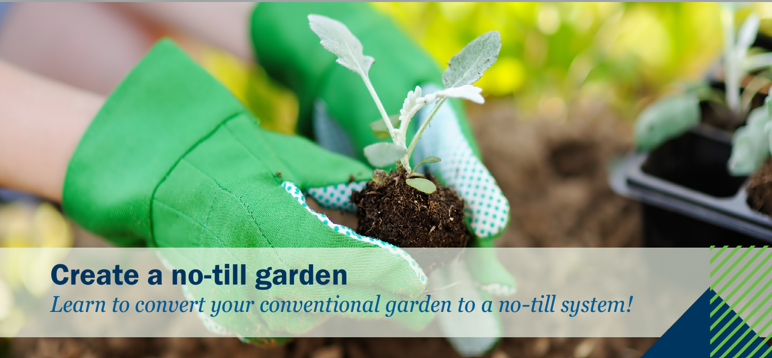 No Till garden workshop