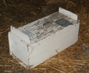 A skunk trap