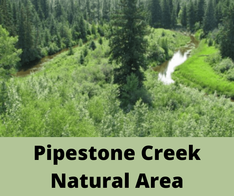 Pipestone Creek Natural Area
