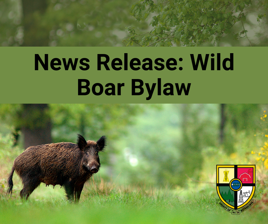 News Release Wild Boar