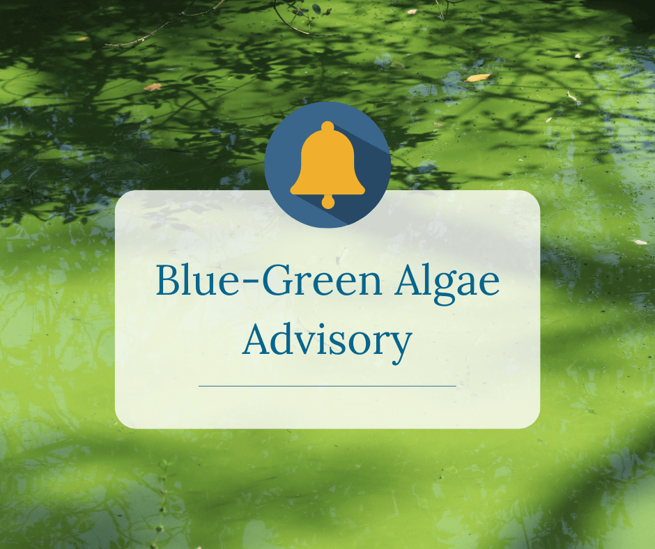 Blue Green Algae Advisory