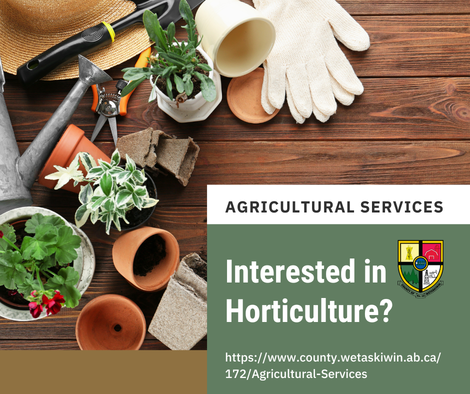 Hort Survey