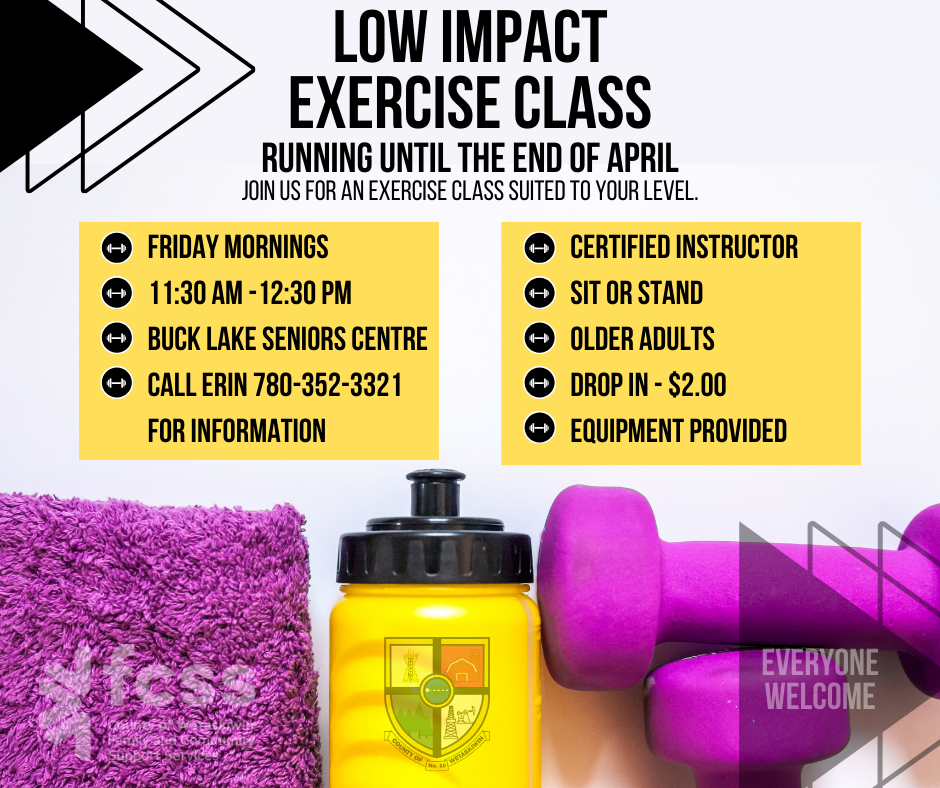 Low Impact Exercise Class