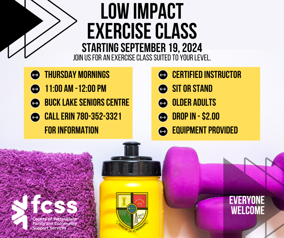 Low Impact Exercise Class