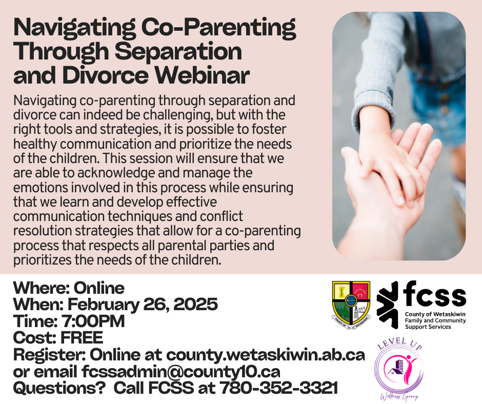 Navigating Parenting through Divorce