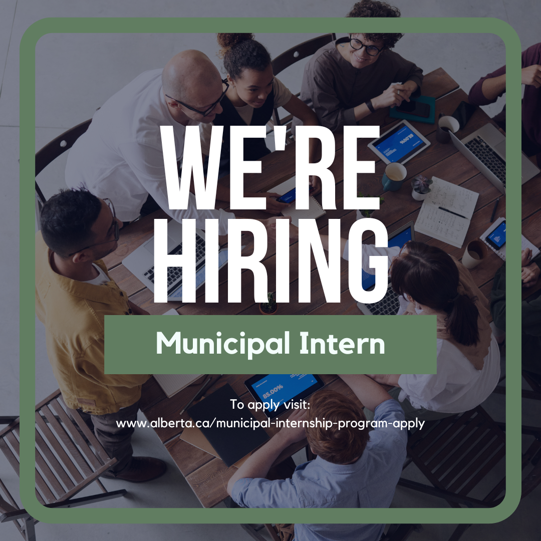 Municipal Intern